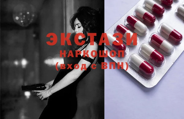 индика Алексин