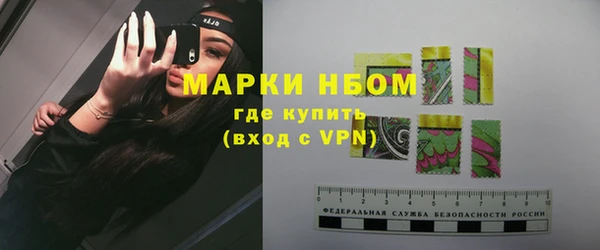 индика Алексин