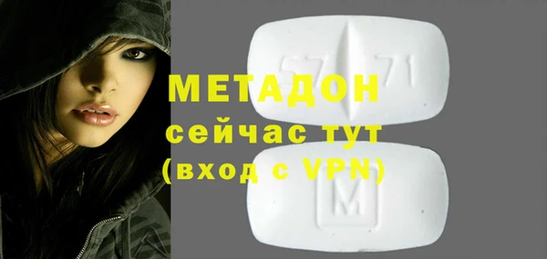индика Алексин