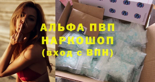 индика Алексин