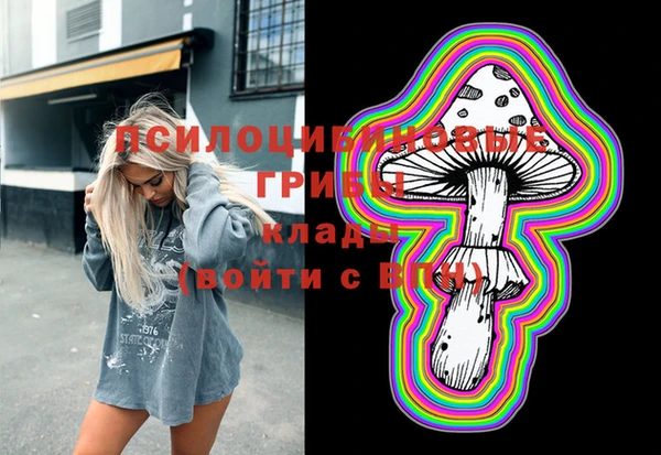 бутират Алзамай